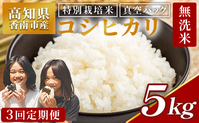 【3回定期便】令和8年産 高知県香南市産 特別栽培米 コシヒカリ 5kg - 国産 米 お米 2キロ こしひかり 白米 どうぞ ごはん おにぎり ご飯 防災 非常食 備蓄 kome 高知県 香南市 常温 Wnu-0012