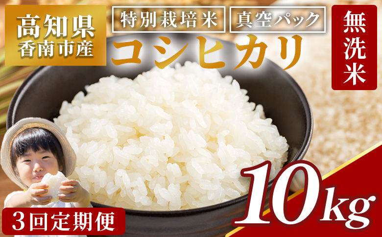 【3回定期便】令和7年産 高知県香南市産 特別栽培米 コシヒカリ 10kg - 国産 米 お米 2キロ こしひかり 白米 どうぞ ごはん おにぎり ご飯 防災 非常食 備蓄 kome 高知県 香南市 常温 Wnu-0013