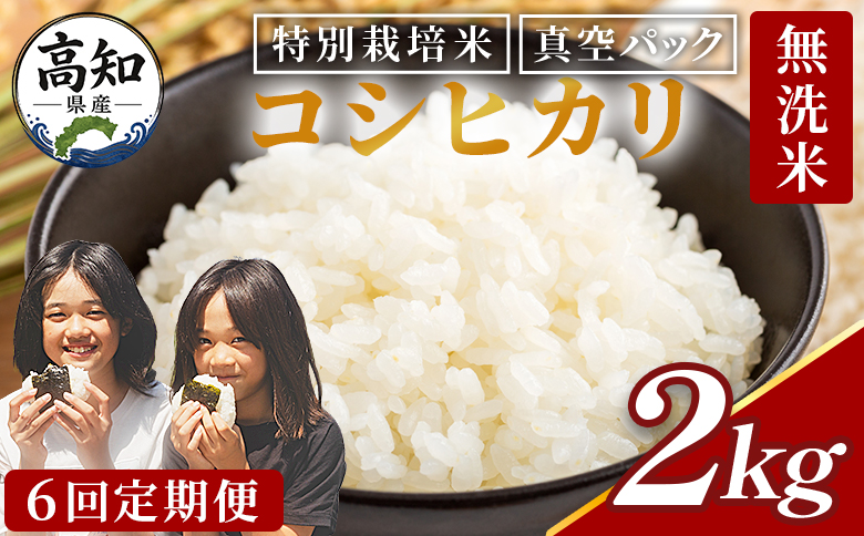 【6回定期便】令和8年産 高知県香南市産 特別栽培米 コシヒカリ 2kg - 国産 米 お米 こしひかり 白米 どうぞ ごはん おにぎり ご飯 防災 非常食 備蓄 kome 高知県 香南市 常温 Wnu-0014