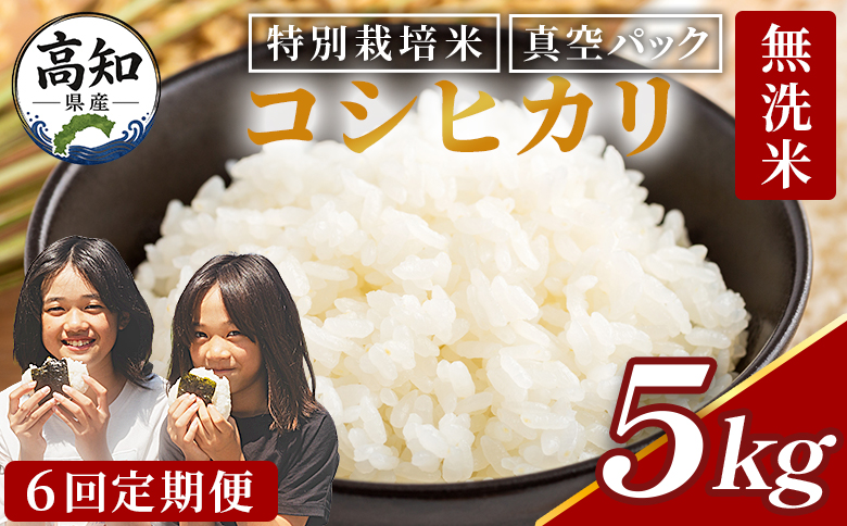 【6回定期便】令和8年産 高知県香南市産 特別栽培米 コシヒカリ 5kg - 国産 米 お米 こしひかり 白米 どうぞ ごはん おにぎり ご飯 防災 非常食 備蓄 kome 高知県 香南市 常温 Wnu-0015