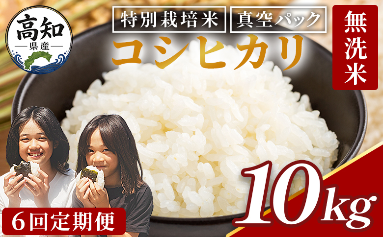 【6回定期便】令和8年産 高知県香南市産 特別栽培米 コシヒカリ 10kg - 国産 米 お米 こしひかり 白米 どうぞ ごはん おにぎり ご飯 防災 非常食 備蓄 kome 高知県 香南市 常温 Wnu-0016