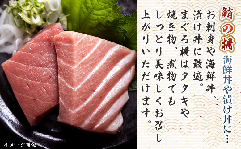 【2回定期便】まぐろ柵 1袋(100g以上) - 国産 刺身 ブロック 海鮮丼 漬け丼 煮物 生食 焼き物 鮪 マグロ 小分けパック 柵どり さく取り 海鮮 新鮮 魚介 産地直送 龍馬の海鮮隊 野島水産 高知県 香南市 Wnz-0079
