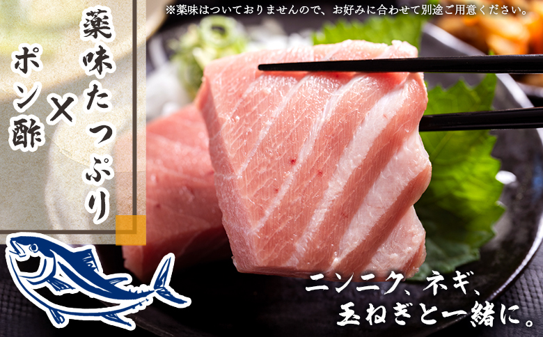 【2回定期便】まぐろ柵 1袋(100g以上) - 国産 刺身 ブロック 海鮮丼 漬け丼 煮物 生食 焼き物 鮪 マグロ 小分けパック 柵どり さく取り 海鮮 新鮮 魚介 産地直送 龍馬の海鮮隊 野島水産 高知県 香南市 Wnz-0079