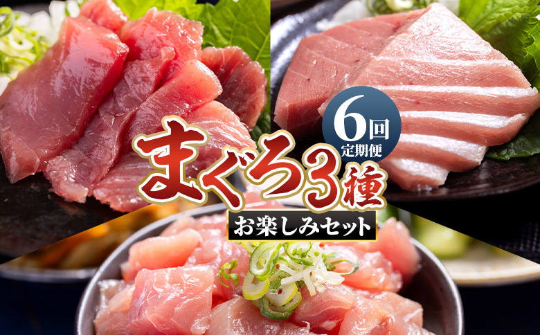 【6回定期便】〈月替わり〉まぐろ 3種 お楽しみセット - 国産 刺身スライス 柵 切り落とし 海鮮丼 漬け丼 煮物 鮪 マグロ カット済み 角切り 小分けパック 新鮮 魚介 産地直送 龍馬の海鮮隊 野島水産 高知県 香南市 Wnz-0117