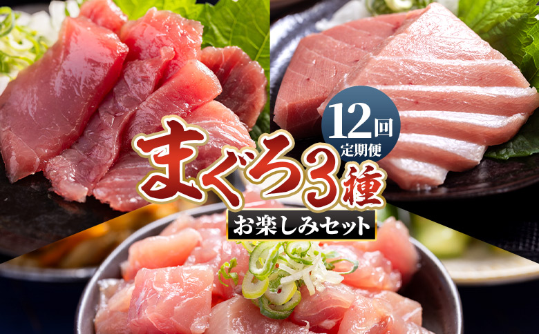 【12回定期便】〈月替わり〉まぐろ 3種 お楽しみセット - 国産 刺身スライス 柵 切り落とし 海鮮丼 漬け丼 煮物 鮪 マグロ カット済み 角切り 小分けパック 新鮮 魚介 産地直送 龍馬の海鮮隊 野島水産 高知県 香南市 Wnz-0119