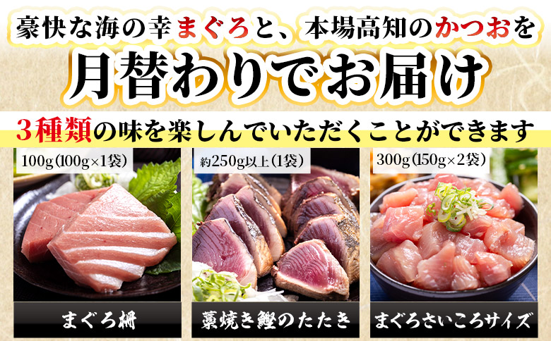 ã3åå®æäŸ¿ããææ¿ããããã€ãã»ãŸãã ãæ¥œãã¿ã»ãã - 海鮮䞌 挬ã䞌 ç
®ç© 鮪 ãã°ã é°¹ ã«ã㪠ã¿ã¿ã ããã å°åããã㯠æ°é®® éä» ç£å°çŽé éŸéŠ¬ã®æµ·é®®é éå³¶æ°Žç£ é«ç¥ç éŠååž Wnz-0120