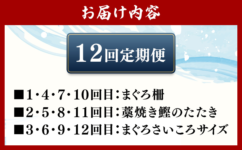 【12回定期便】〈月替わり〉かつお・まぐろ お楽しみセット - 国産 海鮮丼 漬け丼 煮物 鮪 マグロ 鰹 カツオ タタキ たたき 小分けパック 新鮮 魚介 産地直送 龍馬の海鮮隊 野島水産 高知県 香南市 Wnz-0123