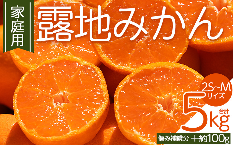 【2026年10月下旬発送】露地みかん(2S～Mサイズ) 5kg 家庭用 （傷み補償分 ＋約100g）- ミカン 蜜柑 柑橘 酸味 甘い あまい フルーツ 果物 果実 青果 訳あり わけあり ご自宅用 キズ有 高知県 香南市 常温 om-0003