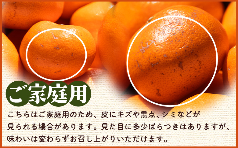 ãïŒåå®æäŸ¿ãé²å°ã¿ãã(2SïœMãµã€ãº) 5kg å®¶åºçš ïŒå·ã¿è£åå ïŒçŽ100gïŒ- ãã«ã³ èæ ææ© é
žå³ çã ããŸã ãã«ãŒã æç© æå® éæ èš³ãã ãããã ãèªå®
çš ããºæ é«ç¥ç éŠååž åžžæž© Wom-0008