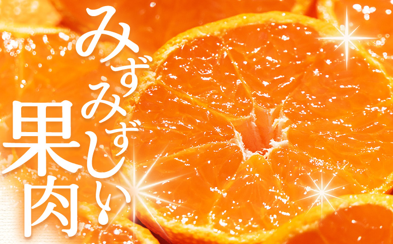 ãïŒåå®æäŸ¿ãé²å°ã¿ãã(2SïœMãµã€ãº) 5kg å®¶åºçš ïŒå·ã¿è£åå ïŒçŽ100gïŒ- ãã«ã³ èæ ææ© é
žå³ çã ããŸã ãã«ãŒã æç© æå® éæ èš³ãã ãããã ãèªå®
çš ããºæ é«ç¥ç éŠååž åžžæž© Wom-0008