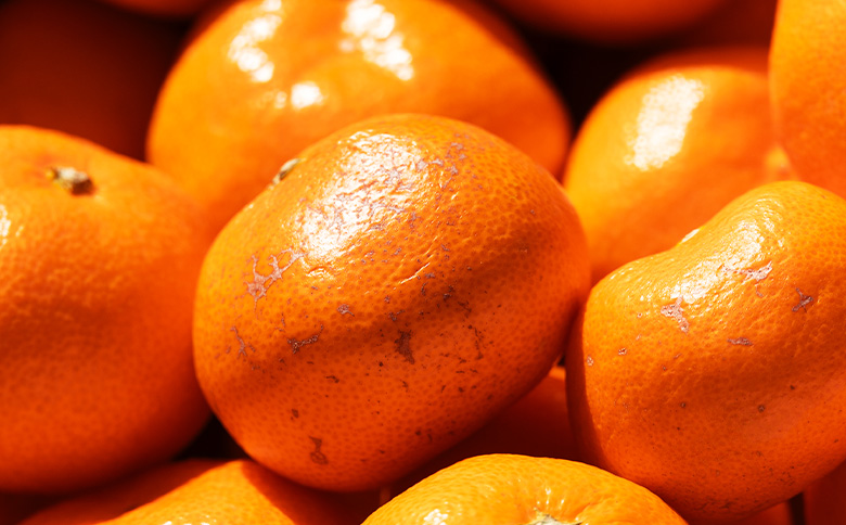 ãïŒåå®æäŸ¿ãé²å°ã¿ãã(2SïœMãµã€ãº) 5kg å®¶åºçš ïŒå·ã¿è£åå ïŒçŽ100gïŒ- ãã«ã³ èæ ææ© é
žå³ çã ããŸã ãã«ãŒã æç© æå® éæ èš³ãã ãããã ãèªå®
çš ããºæ é«ç¥ç éŠååž åžžæž© Wom-0008