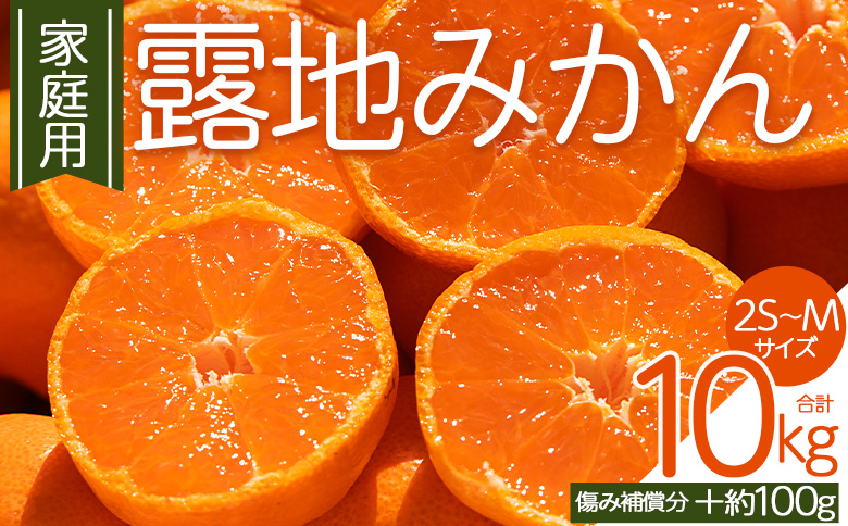 【2026年10月下旬発送】露地みかん(2S～Mサイズ) 10kg 家庭用 （傷み補償分 ＋約100g）- ミカン 蜜柑 柑橘 酸味 甘い あまい フルーツ 果物 果実 青果 訳あり わけあり ご自宅用 キズ有 高知県 香南市 常温 om-0005