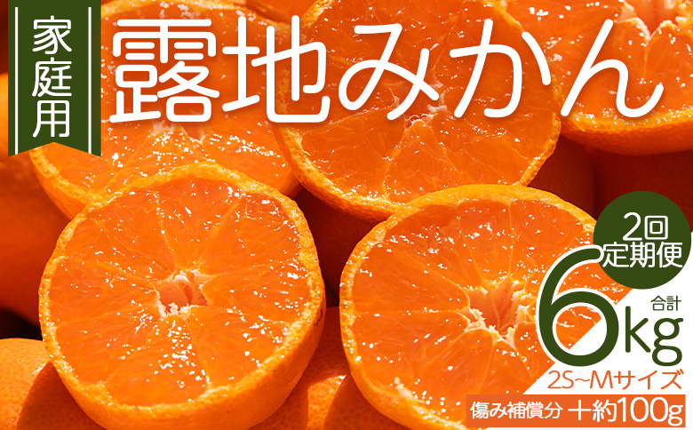 【２回定期便】露地みかん(2S～Mサイズ) 3kg 家庭用 （傷み補償分 ＋約100g）- ミカン 蜜柑 柑橘 酸味 甘い あまい フルーツ 果物 果実 青果 訳あり わけあり ご自宅用 キズ有 高知県 香南市 常温 Wom-0007