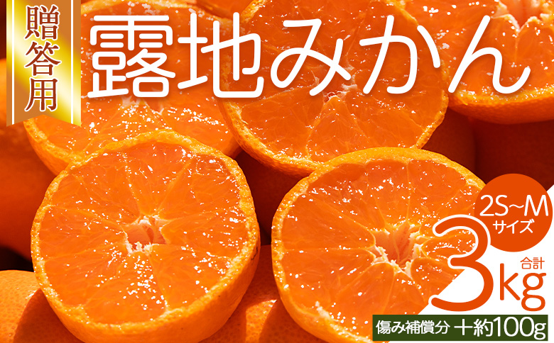 【2026年10月下旬発送】露地みかん(2S～Mサイズ) 3kg 贈答用 （傷み補償分 ＋約100g）- ミカン 蜜柑 柑橘 甘い あまい 果実 青果 贈物 贈り物 プレゼント ギフト 御礼 おれい 高知県 香南市 常温 om-0002