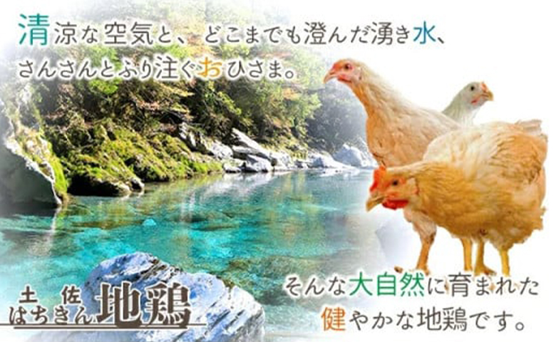 åäœã¯ã¡ããå°é¶ãã³ããŒã°ã»ããïŒ150gÃ8å+ã¯ã¡ããå°é¶ ãã³é
¢200mlïŒ - ãã³ããŒã° å å·¥å å°é¶ é¶è ãšãè ãšãã«ã è å å·¥å æ£è ãæ£è èª¿å³æ ãœãé
¢ ãžã¥ãŒã·ãŒ é«ç¥ç éŠååž å·å ow-0022