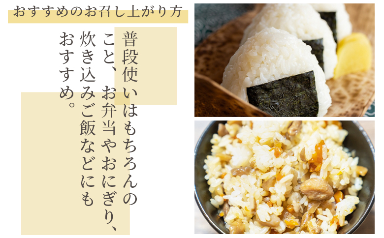 【令和8年8月下旬発送】新米 令和8年産 特別栽培米 ミルキークイーン 5kg 高知県香南市産 sr-0002