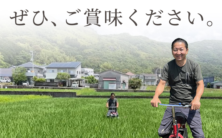 【令和8年8月下旬発送】新米 令和8年産 特別栽培米 ミルキークイーン 5kg 高知県香南市産 sr-0002