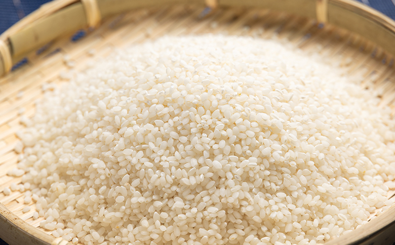 【令和8年8月下旬発送】新米 令和8年産 特別栽培米 ミルキークイーン 5kg 高知県香南市産 sr-0002