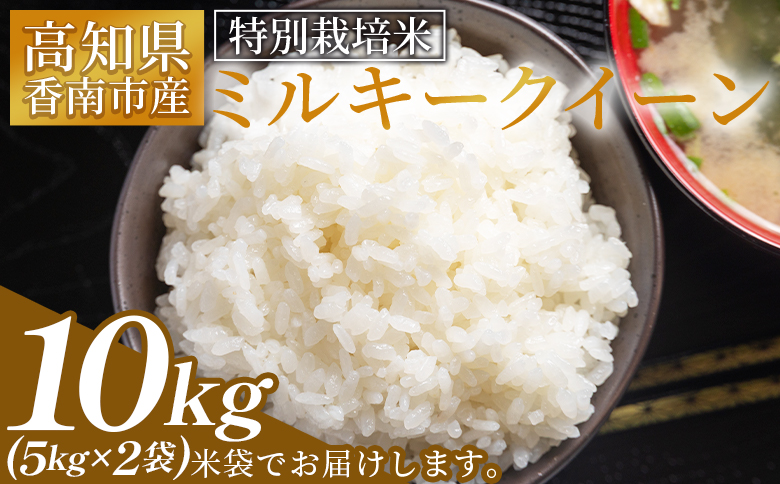 【令和8年8月下旬発送】特別栽培米 ミルキークイーン 10kg 高知県香南市産 - お米 米 白ご飯 ごはん 精米 お弁当 おにぎり おむすび 炊き込みご飯 おいしい 美味しい 防災 非常食 備蓄 高知県 香南市 常温 sr-0003