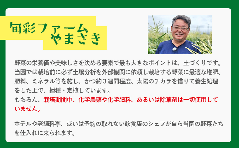 栄養豊かで身体に優しいブロッコリー 約2kg 4～5個入り - 野菜 やさい 産地直送 国産 旬 朝採れ 新鮮 サラダ スープ シチュー 弁当 おかず 便利 料理 簡単調理 冷凍保存可 高知県 香南市 常温 sy-0010