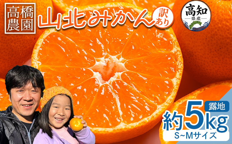 【2026年11月中旬より順次配送】山北みかん（露地・S〜Mサイズ）約5kg 家庭用 - 小傷あり 送料無料 露地栽培 柑橘 果物 フルーツ ミカン 蜜柑 期間限定 季節限定 家庭用 国産 特産品 高橋農園 高知県 香南市 th-0030