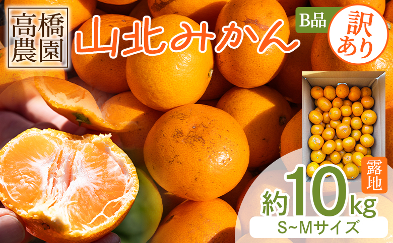 【2026年11月中旬より順次配送】訳あり 山北みかん（露地・S〜Mサイズ）約10kg - フルーツ 果物 くだもの 柑橘類 ミカン 蜜柑 Ｂ品 小傷あり 家庭用 季節限定 期間限定 新鮮 農家直送 露地栽培 高橋農園 高知県 香南市 th-0027