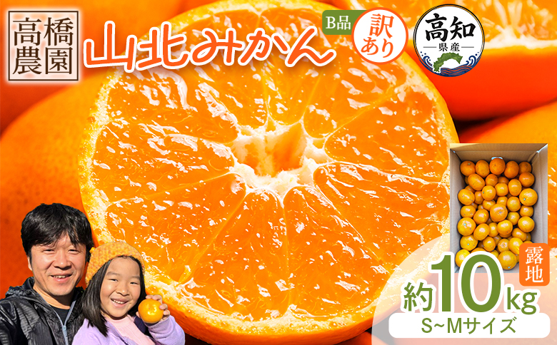 【2026年11月中旬より順次配送】訳あり 山北みかん（露地・S〜Mサイズ）約10kg - フルーツ 果物 くだもの 柑橘類 ミカン 蜜柑 Ｂ品 小傷あり 家庭用 季節限定 期間限定 新鮮 農家直送 露地栽培 高橋農園 高知県 香南市 th-0032
