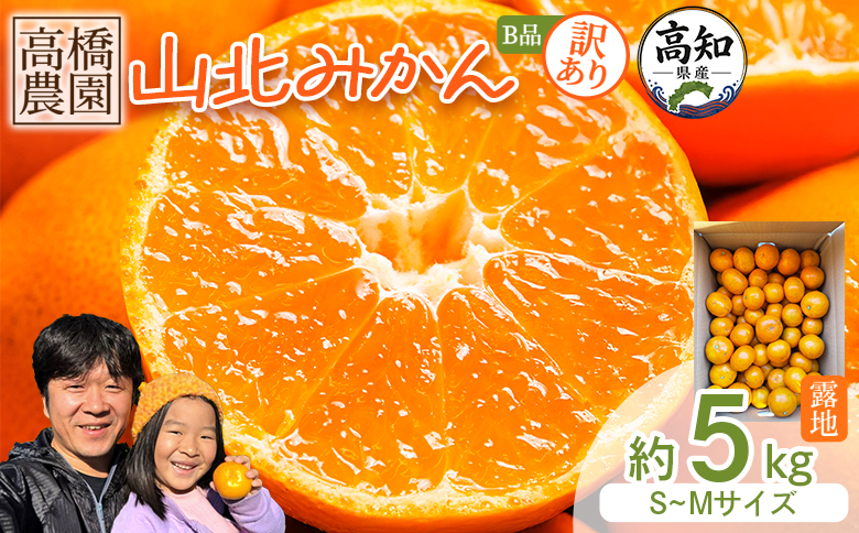 【2026年11月中旬より順次配送】訳あり 山北みかん 露地(Ｓ〜Ｍ)Ｂ品 5kg - 果物 フルーツ ミカン 蜜柑 柑橘 家庭用 自宅用 新鮮 農家直送 露地 高知県 香南市 th-0031