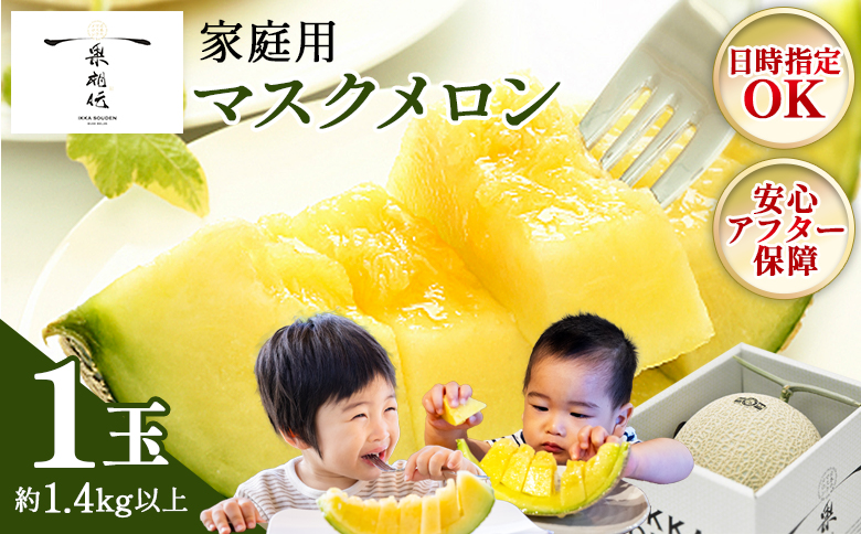 【発送開始】マスクメロン家庭用 1玉入り フルーツ メロン 果物 デザート 一果相伝 tn-0024