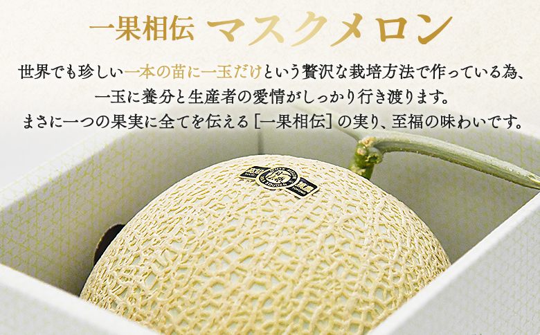 ãïŒåå®æäŸ¿ãäžæçžäŒ éèã¡ãã³ èµ€èã¡ãã³ å®¶åºçš 1ç 亀äºã«ãå±ã - å®æäŸ¿ æç© ãã«ãŒã ããã éè èµ€è èªå®
çš ãžã¥ãŒã·ãŒ ææ± è³çŠ çŸå³ãã ãœãŒã ã±ãŒã 節蟲 ç£å°çŽé é«ç¥ç éŠååž åžžæž© Wtn-0049