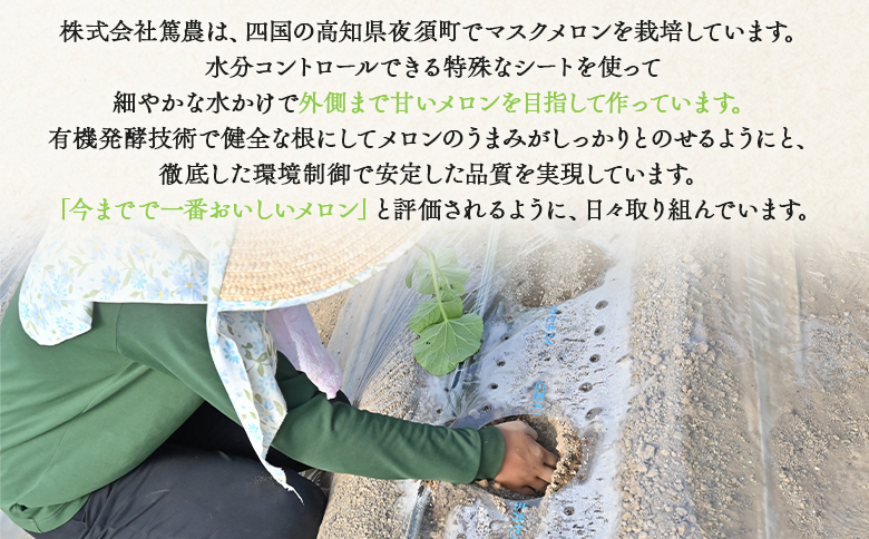 ãïŒåå®æäŸ¿ãäžæçžäŒ éèã¡ãã³ èµ€èã¡ãã³ å®¶åºçš 1ç 亀äºã«ãå±ã - å®æäŸ¿ æç© ãã«ãŒã ããã éè èµ€è èªå®
çš ãžã¥ãŒã·ãŒ ææ± è³çŠ çŸå³ãã ãœãŒã ã±ãŒã 節蟲 ç£å°çŽé é«ç¥ç éŠååž åžžæž© Wtn-0049