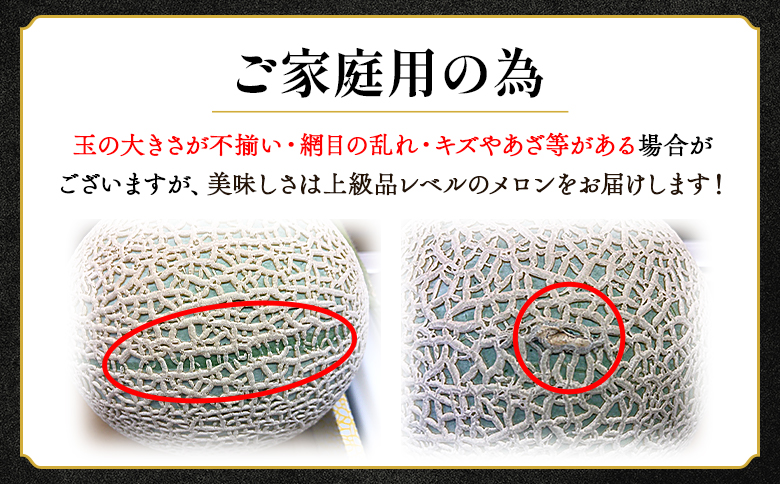 【12回定期便】一果相伝マスクメロン 家庭用 1玉入り- 果物 フルーツ めろん 青肉 ギフト 自宅用 ジューシー 果汁 至福 美味しい ソーダ シロップに 甘い ケーキに あまい 篤農 産地直送 高知県 香南市 常温 Wtn-0051