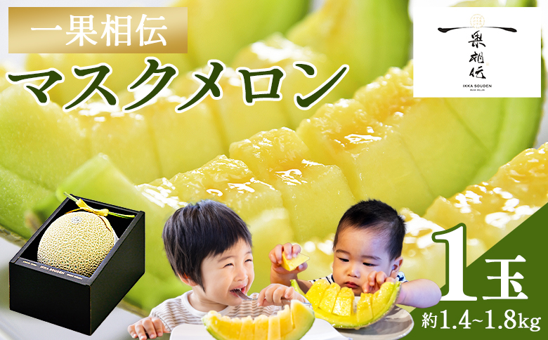 一果相伝 マスクメロン 1玉入り - メロン めろん フルーツ 1万円以上 10000円以上 tn-0010
