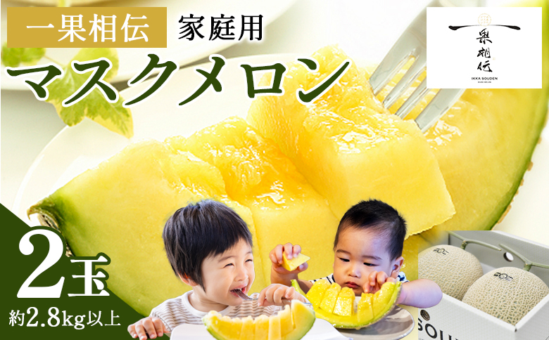 [発送開始]マスクメロン 家庭用 2玉入り 果物 くだもの フルーツ tn-0025