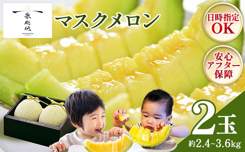 メロン 2個 青肉 2玉 贈答 ギフト 高知 一果相伝マスクメロン 青肉 先行予約 フルーツ メロン 果物 デザート tn-0012