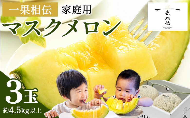 【発送開始】マスクメロン家庭用 3玉入り - 果物 くだもの フルーツ めろん 青肉 デザート スイーツ ご自宅用 ジューシー 果汁 芳醇 幸せ 至福 美味しい 甘い あまい 篤農 産地直送 高知県 香南市 常温 tn-0029