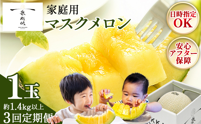 【３回定期便】一果相伝マスクメロン 家庭用 1玉入り- めろん 青肉 自宅用 ジューシー 果汁 至福 美味しい 甘い あまい 篤農 産地直送 高知県 香南市 常温 Wtn-0038