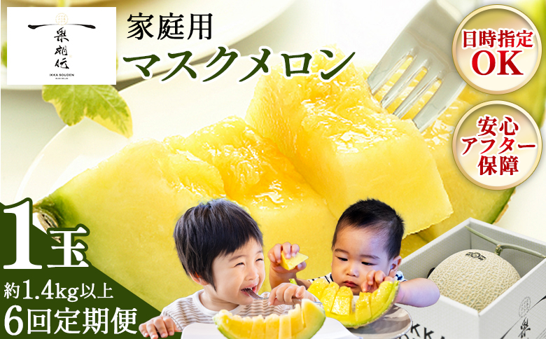 【６回定期便】一果相伝マスクメロン 家庭用 1玉入り- めろん 青肉 自宅用 ジューシー 果汁 至福 美味しい 甘い あまい 篤農 産地直送 高知県 香南市 常温 Wtn-0039