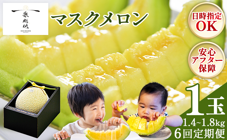 【６回定期便】一果相伝マスクメロン 1玉入り - めろん 青肉 果物 くだもの フルーツ 贈答用 贈答品 贈り物 ギフト お礼 御礼 感謝 お祝い 御祝い 産地直送 新鮮 篤農 高知県 香南市 常温 Wtn-0041