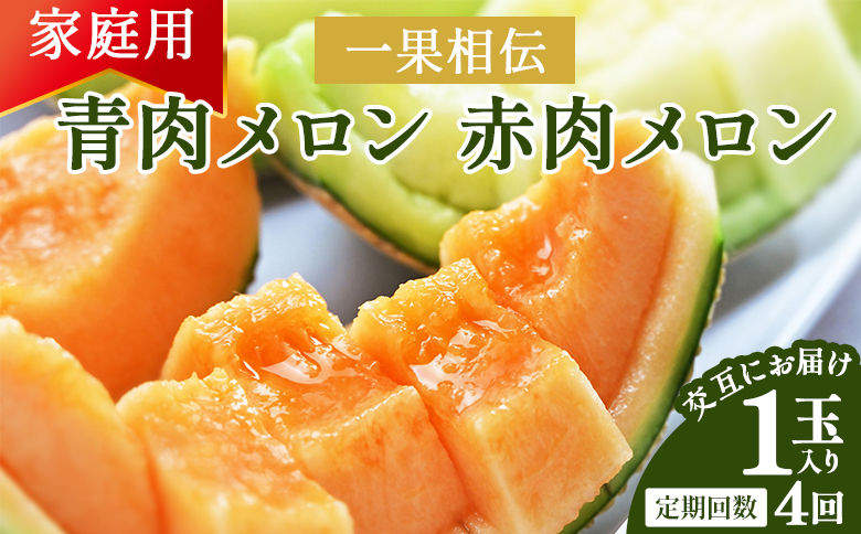 【４回定期便】一果相伝 青肉メロン 赤肉メロン 家庭用 1玉 交互にお届け -  定期便 果物 フルーツ めろん 青肉 赤肉 自宅用 ジューシー 果汁 至福 美味しい ソーダ ケーキ 篤農 産地直送 高知県 香南市 常温 Wtn-0048