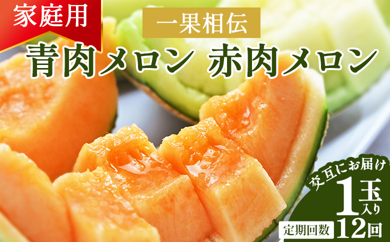 【12回定期便】一果相伝 青肉メロン 赤肉メロン 家庭用 1玉 交互にお届け - 定期便 果物 フルーツ めろん 青肉 赤肉 自宅用 ジューシー 果汁 至福 美味しい ソーダ ケーキ 篤農 産地直送 高知県 香南市 常温 Wtn-0053