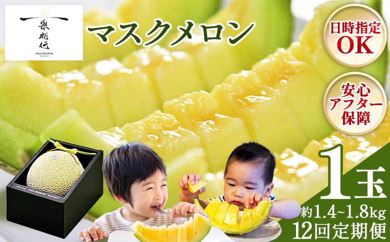 【12回定期便】一果相伝マスクメロン 1玉入り - めろん 青肉 果物 くだもの フルーツ 贈答用 贈答品 贈り物 ギフト お礼 御礼 感謝 お祝い 御祝い 産地直送 新鮮 篤農 高知県 香南市 常温 Wtn-0052