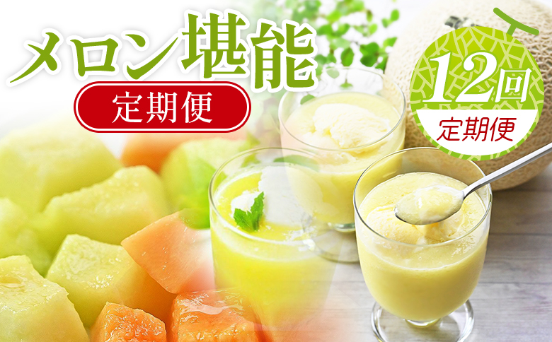 【12回定期便】メロン堪能定期便 - 国産 マスクメロン 完熟 赤肉 青肉 家庭用 フルーツ 果物 ピューレ シャーベット 飲み物 飲料 フルーツジュース 篤農 高知県 香南市 常温 冷凍 Wtn-0056