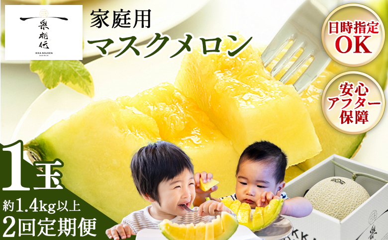 【２回定期便】一果相伝マスクメロン 家庭用 1玉入り - 果物 フルーツ めろん 青肉 ギフト 自宅用 ジューシー 果汁 至福 美味しい ソーダ シロップに 甘い ケーキに あまい 篤農 産地直送 高知県 香南市 常温 Wtn-0057