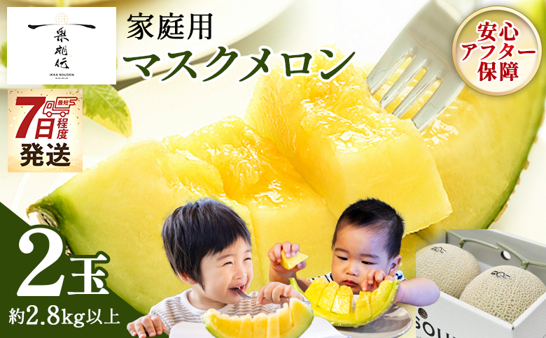 【7日程度で発送】一果相伝マスクメロン 家庭用 2玉入り - 最短配送 果物 フルーツ ギフト 家庭用 美味しい 甘い ケーキ あまい 産地直送 4月 5月 父の日 母の日 高知県 香南市 常温 tn-0063
