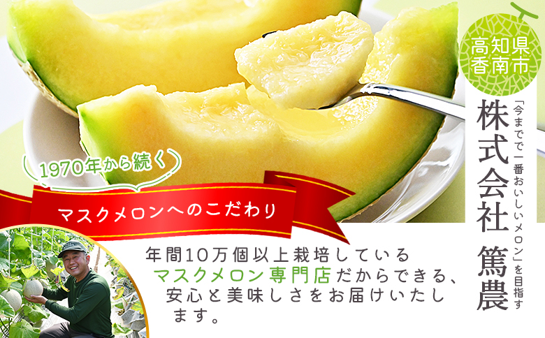 【先行予約受付】メロン 赤肉 青肉 家庭用 2玉 高級 雅&妃 マスクメロン 各１玉 tn-0026