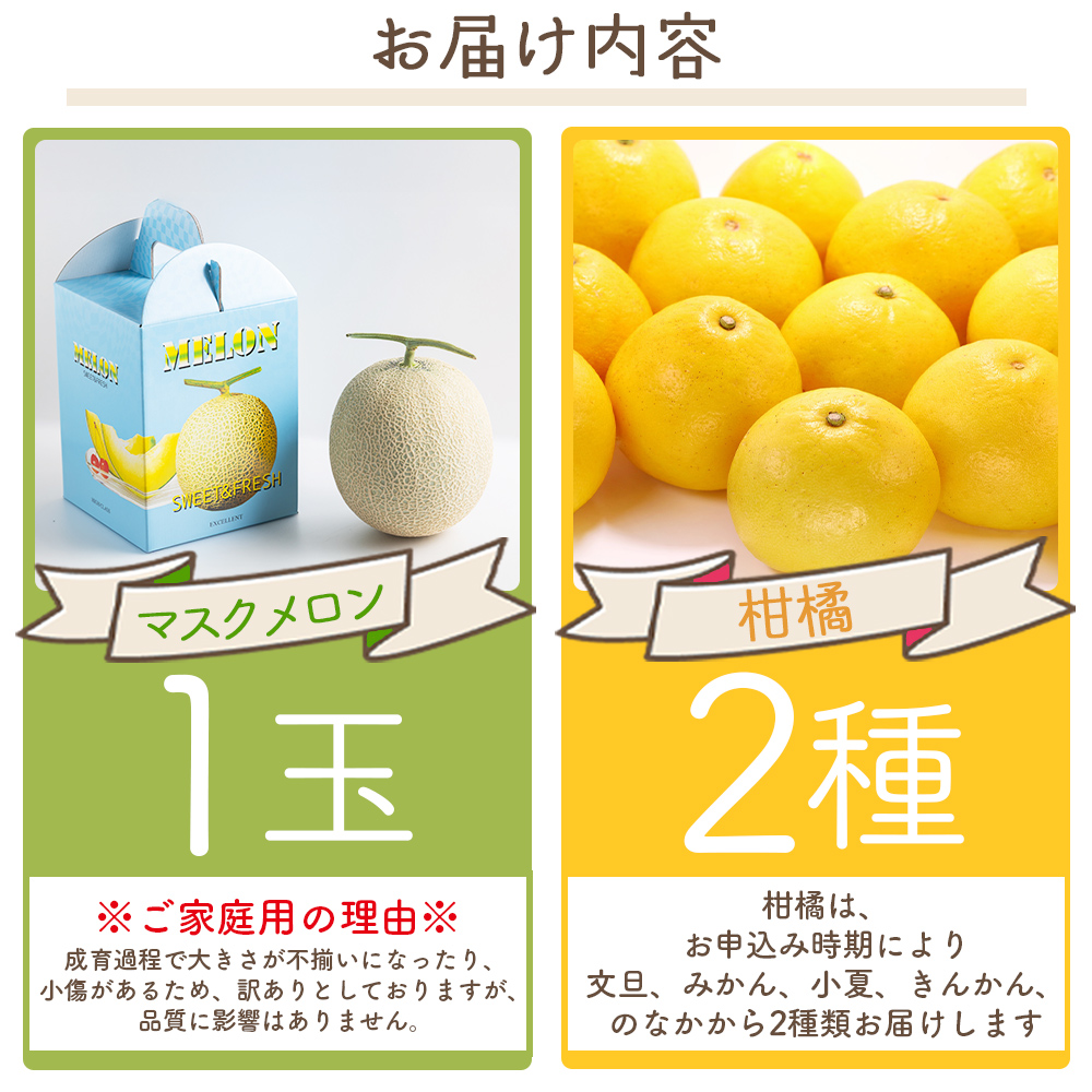 マスクメロン&柑橘2種セット - フルーツ 果物 果実 青果 メロン 濃厚 柑橘 蜜柑 文旦 みかん 小夏 きんかん 訳あり 訳アリ ご家庭用 家庭用 自宅用 不揃い 小傷 やすらぎ市 高知県 香南 常温 yr-0111