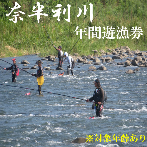 107010 奈半利川 年間遊漁券(対象年齢：70歳以上） 利き鮎グランプリ受賞 釣り 友釣り 鮎 あゆ 鰻 ウナギ アマゴ 川釣り 奈半利川 アウトドア チケット 体験 釣り体験 清流めぐり利き鮎会SPグランプリ受賞 /高知県 奈半利町