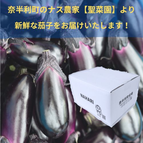 131903　奈半利町の茄子【慎太郎】定期便30本