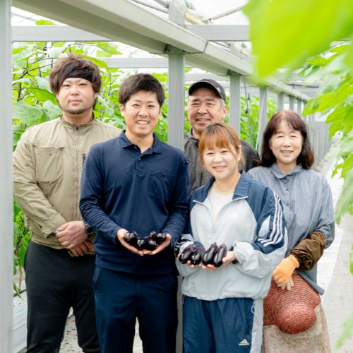131902　奈半利町の茄子【慎太郎】定期便20本